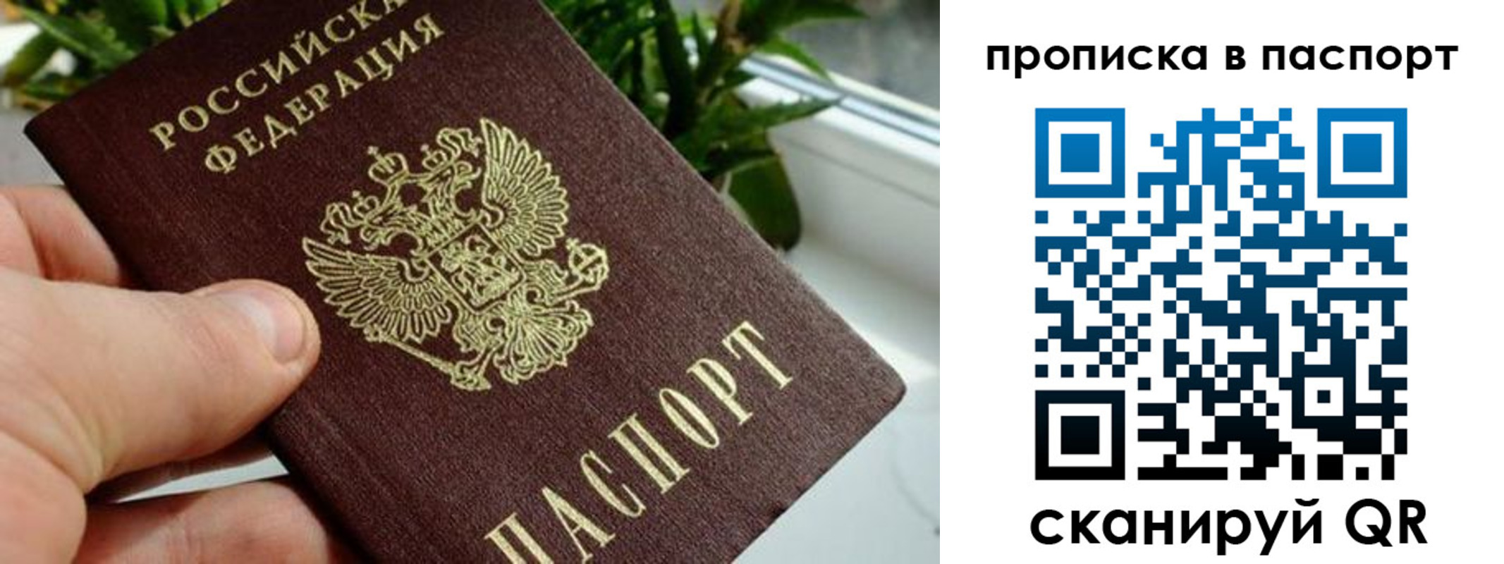 пропишу в квартире в Мурманске